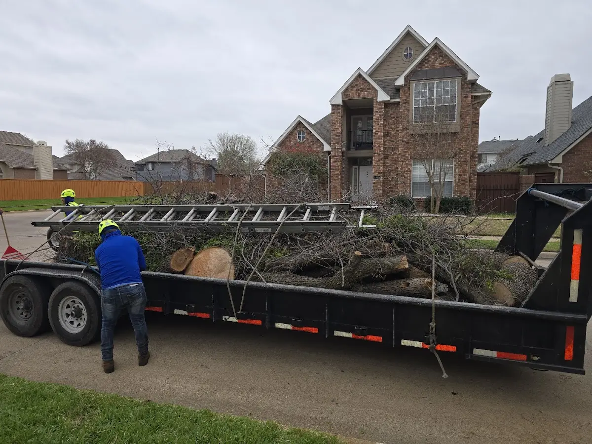 Expert Tree Fertilization with proper safety equipment in Pukalani